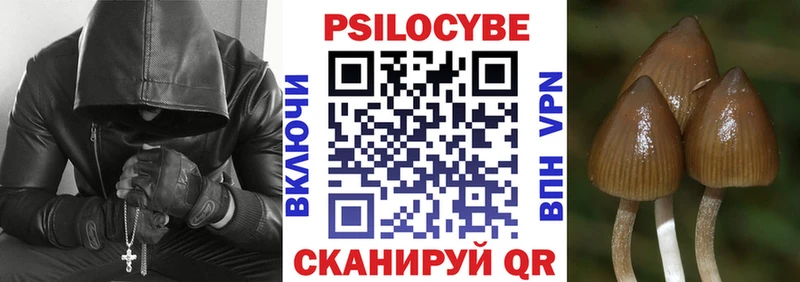 Галлюциногенные грибы GOLDEN TEACHER  Бикин 